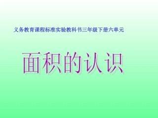 面积的认识课件
