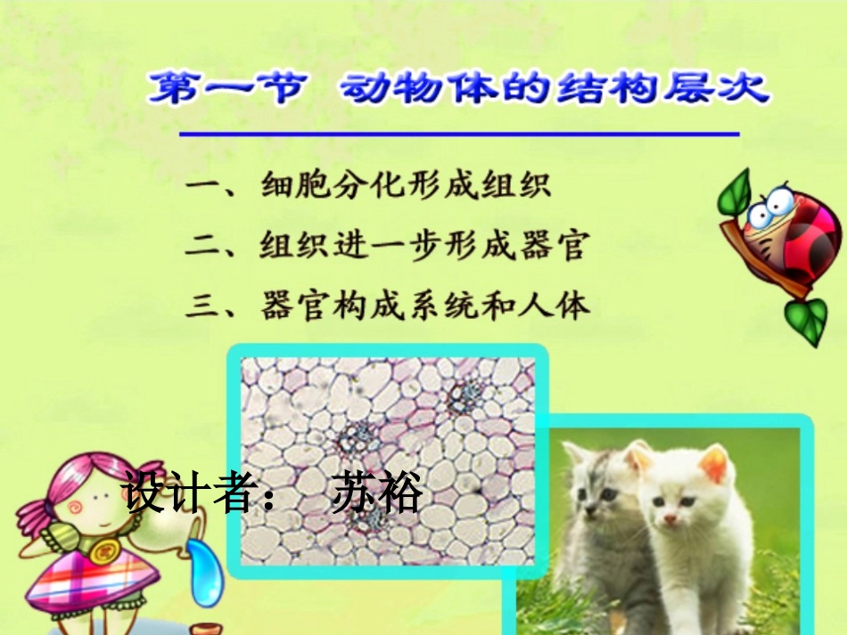 动物体的结构层次_第3页
