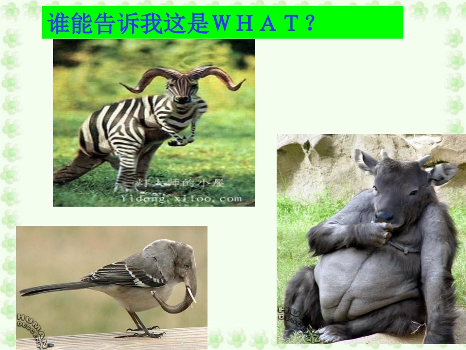 基因工程及其应用课件_第3页