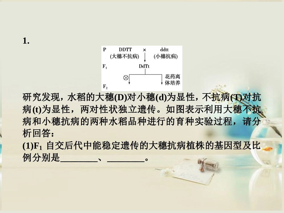 【优化方案】2014届高考生物一轮复习-热点集训-专题四-生物育种课件-新人教版_第2页