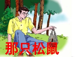 《那只松鼠》教学课件（课文讲解）