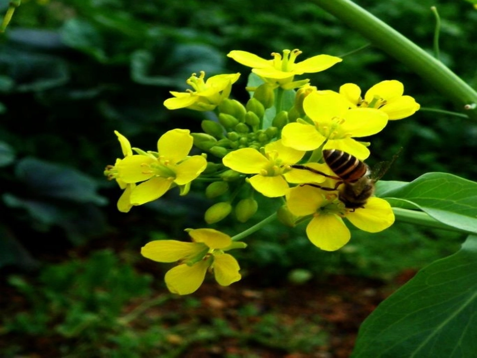 中国的气候1_第3页