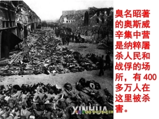 世界反战和平运动