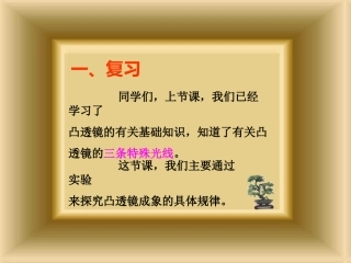 北湖学校张冬梅上课课件45