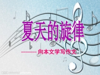 夏天的旋律-(2)