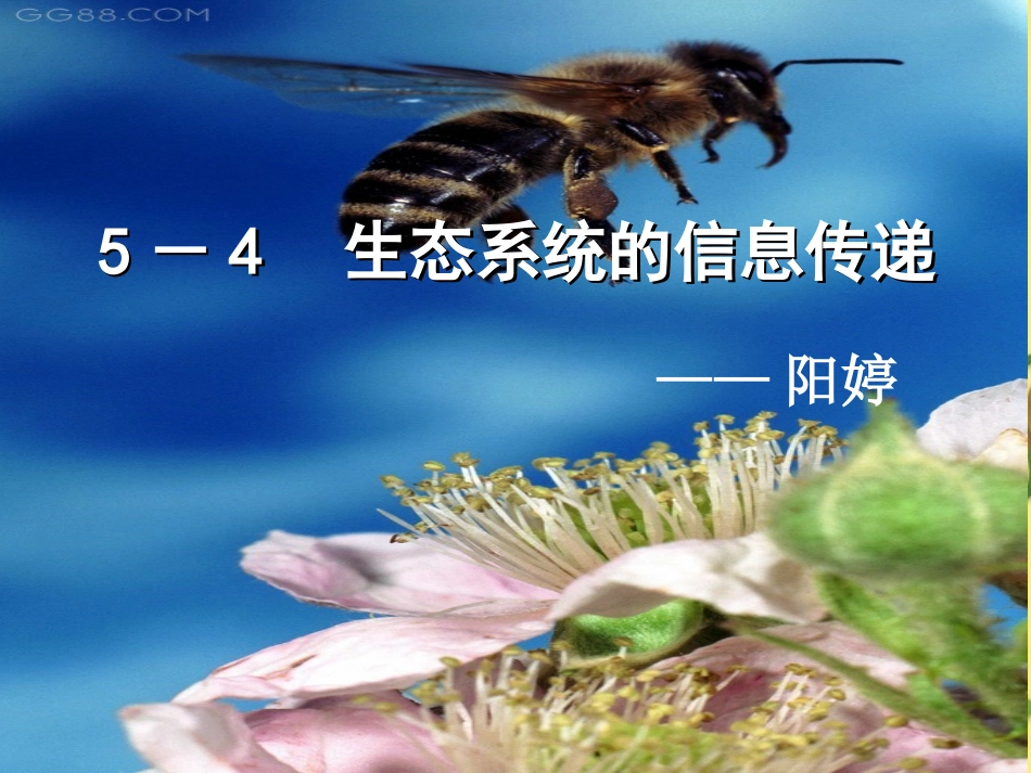 生态系统信息传递PPT_第2页