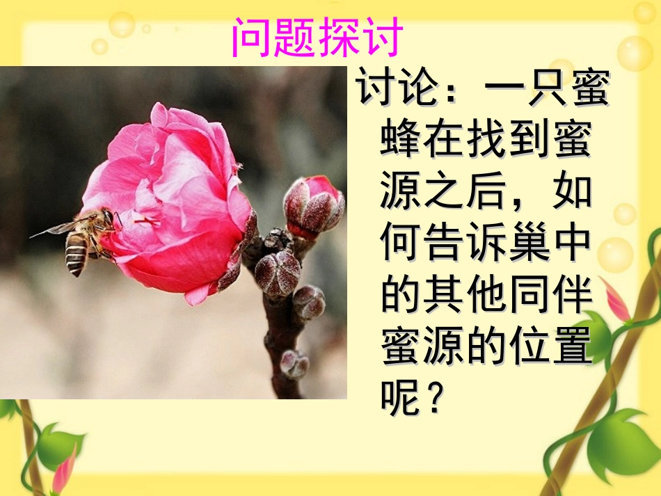 生态系统信息传递PPT_第3页