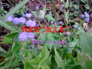 我家的收支本