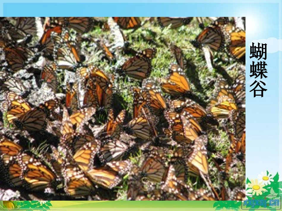 《9日月潭》_第2页