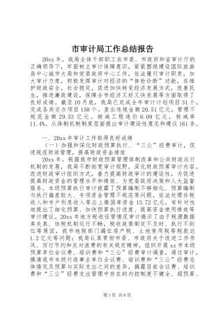 市审计局工作总结报告 