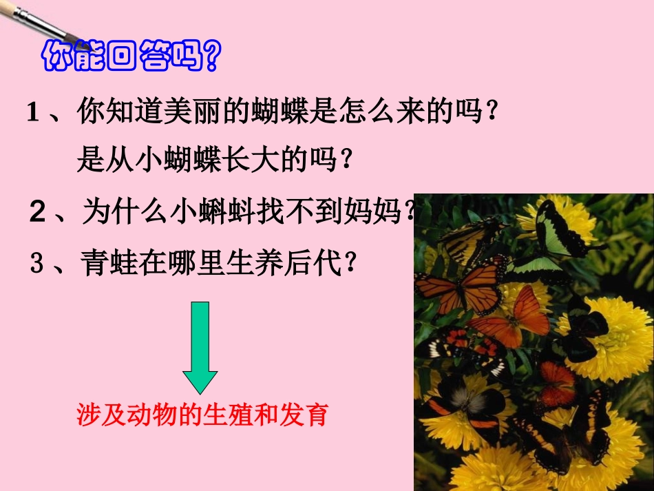 八年级生物上册《动物的生殖和发育》课件2-北师大版_第2页