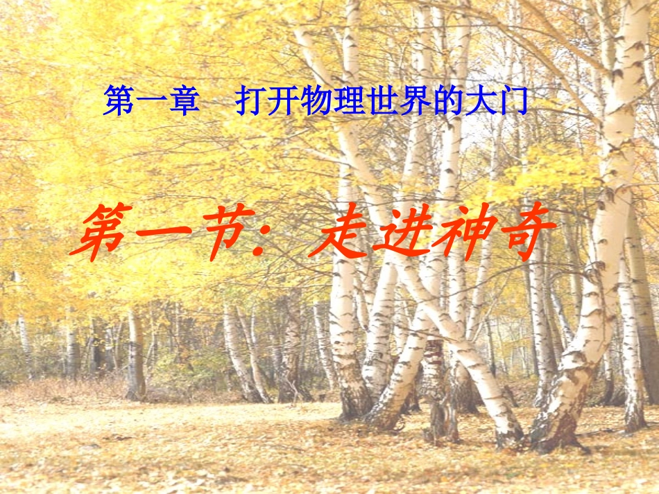 《走进神奇》课件4_第1页