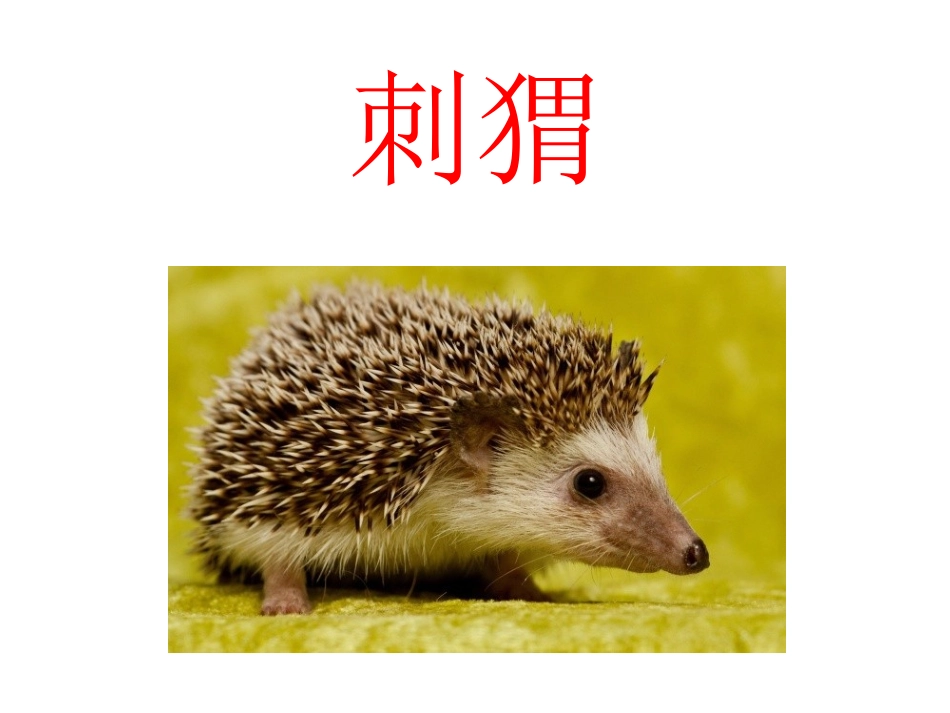 二年级语文《称赞》课件_第2页