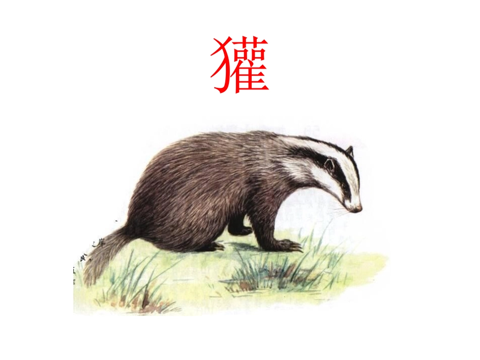 二年级语文《称赞》课件_第3页