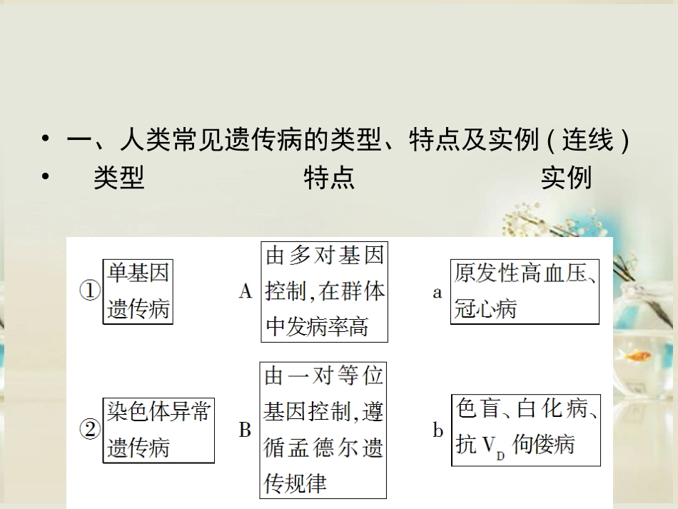 【状元之路】(新课标通用)2014高考生物一轮复习-第22讲-人类遗传病课件_第3页