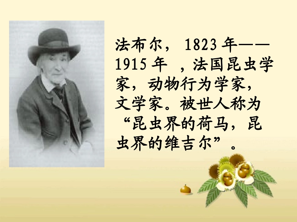 《法布尔观察昆虫》教学课件_第2页