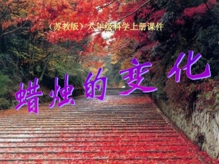 苏科学课件教版六年级科学蜡烛的变化课件(1)
