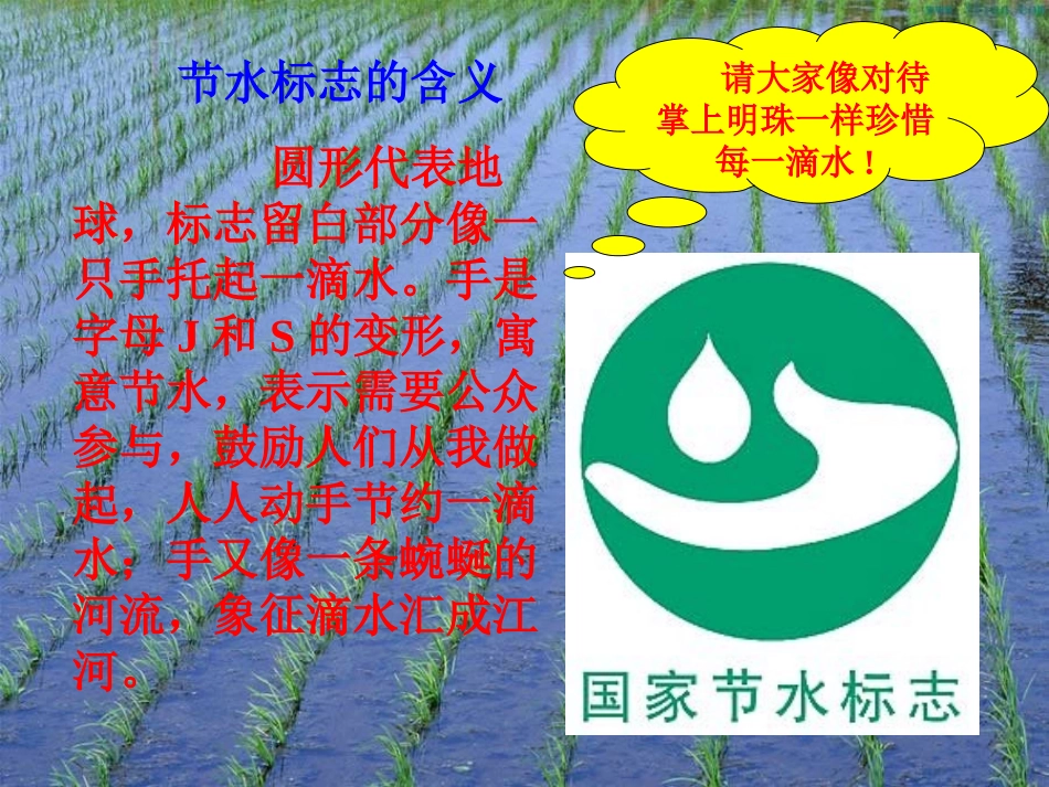 “节约用水——环保在我们身边”主题班会PPT_第3页