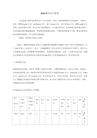 (工艺技术)尼龙聚合工艺