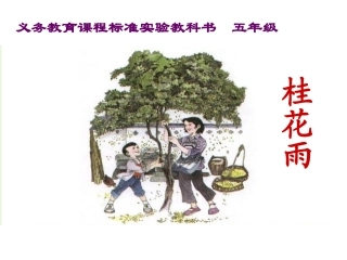 《桂花雨》课件【13页】