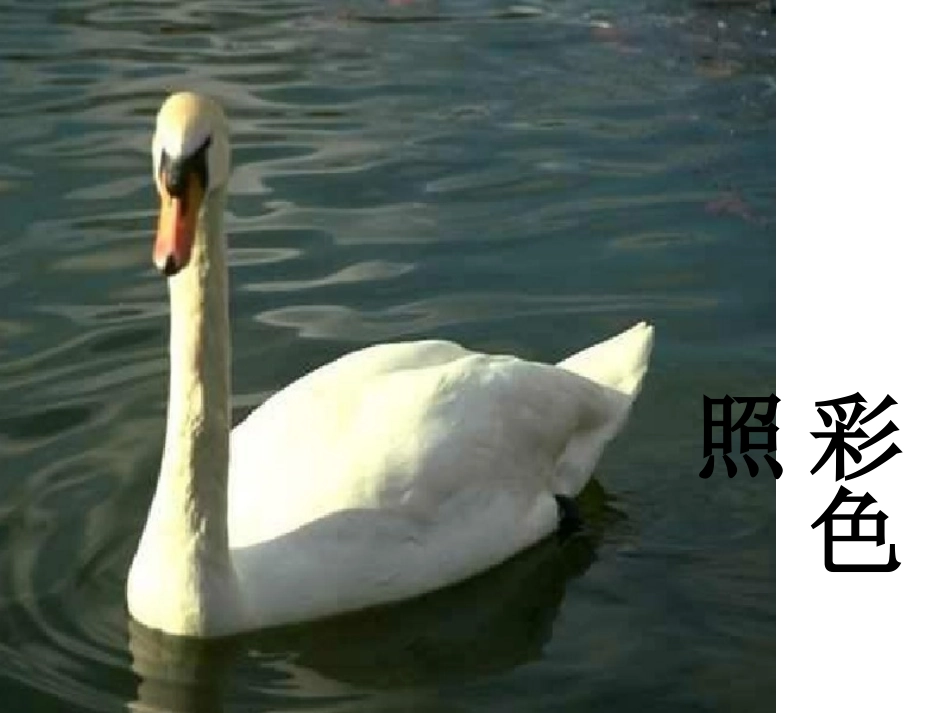 《黑白世界》PPT课件_第3页