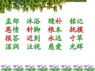 母亲的恩情2