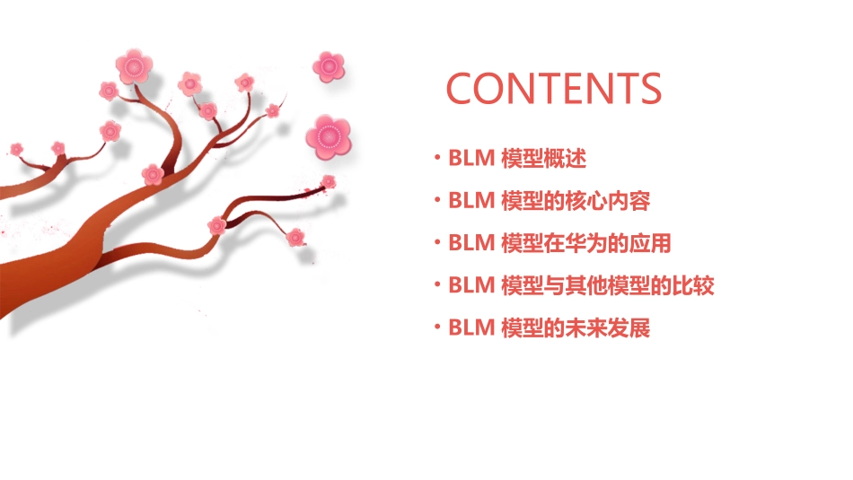 华为从ibm引进的BLM模型课件_第2页