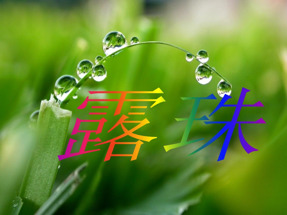 《露珠》教学课件_第1页