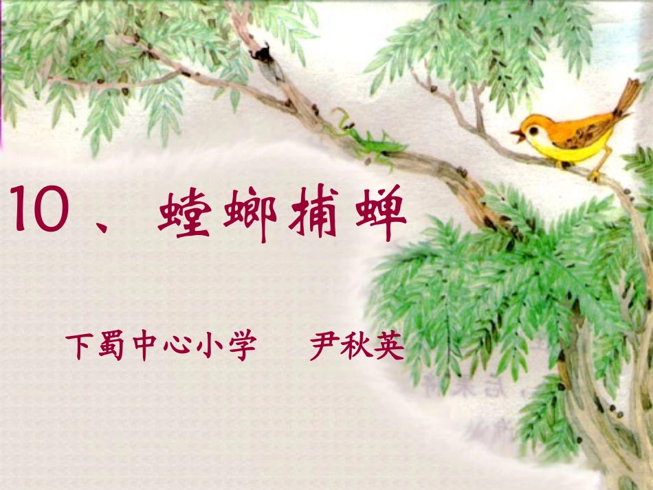 尹秋英《螳螂捕蝉》PPT课件_第1页