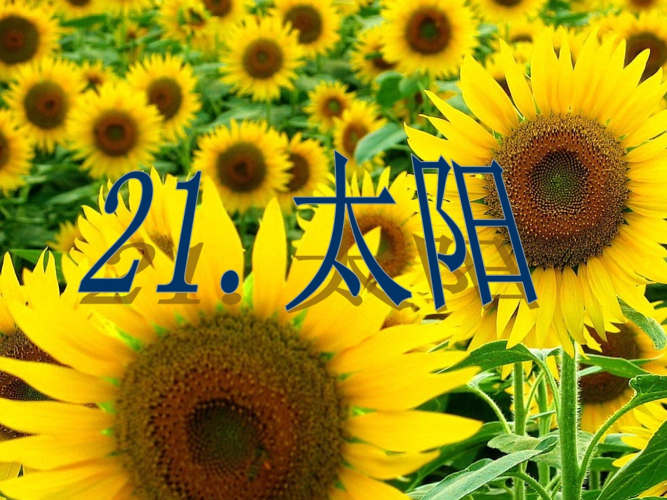 《太阳》课件4_第2页