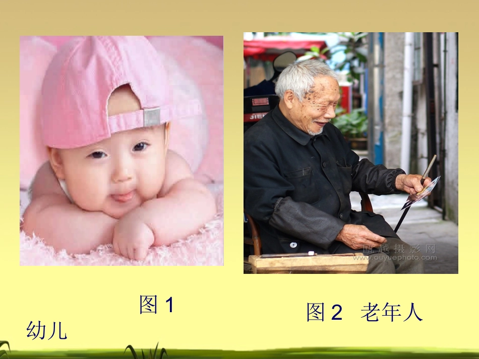 细胞的衰老和凋亡__第1页