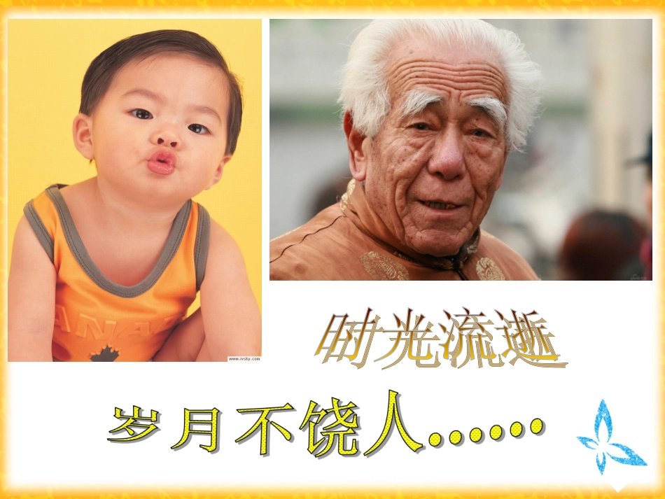 细胞的衰老和凋亡__第2页