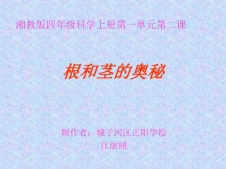 江丽丽四年科学上册《根和茎的奥秘》