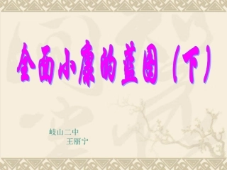 政治课件九年级政治全面小康的蓝图2(恢复)