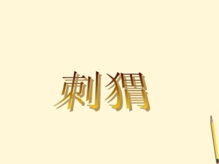 五年级语文下册刺猬1课件鄂教版