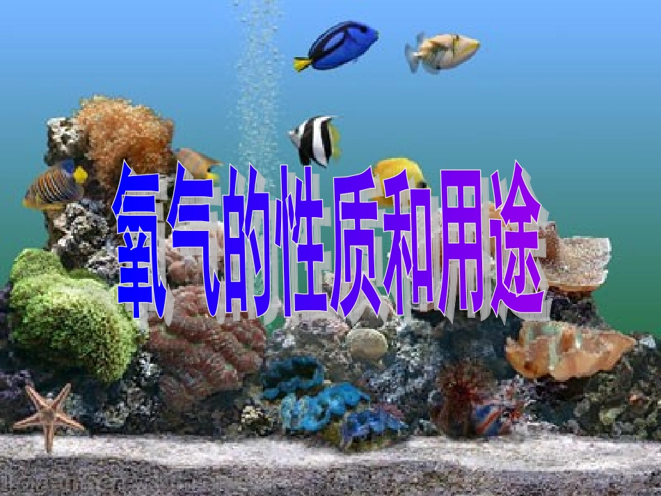 氧气的性质和用途_第2页
