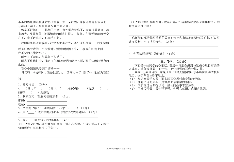 六年级下学期语文期末模拟试卷（三）_第2页