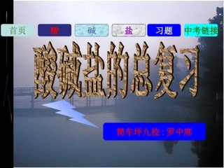 中考酸碱盐总复习