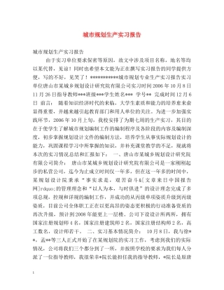 城市规划生产实习报告 