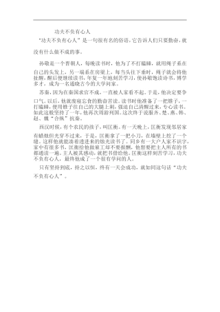 功夫不负有心人