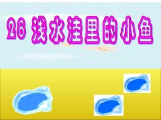 浅水洼里的小鱼111111