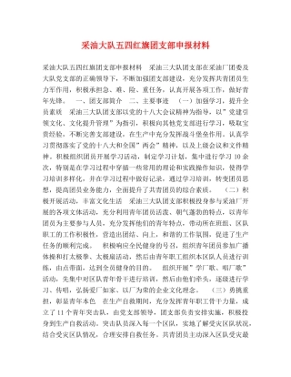 采油大队五四红旗团支部申报材料 