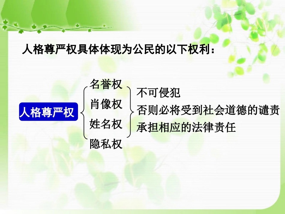 (教学精品)人格尊严权概述_第1页