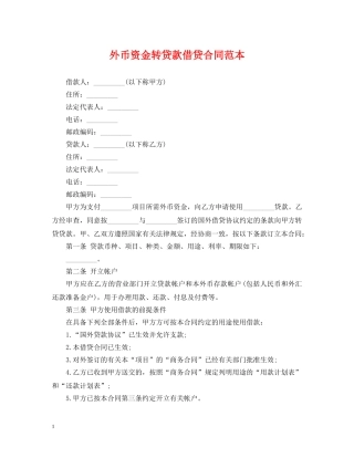 外币资金转贷款借贷合同范本2 