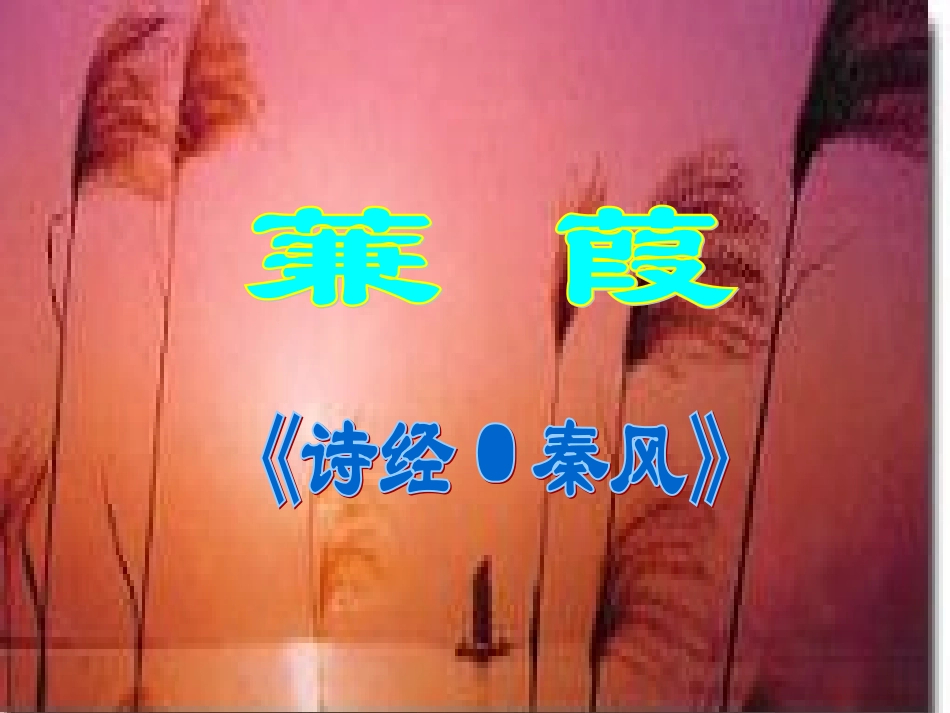 九年级语文下册25《诗词六首之蒹葭》课件语文版_第1页