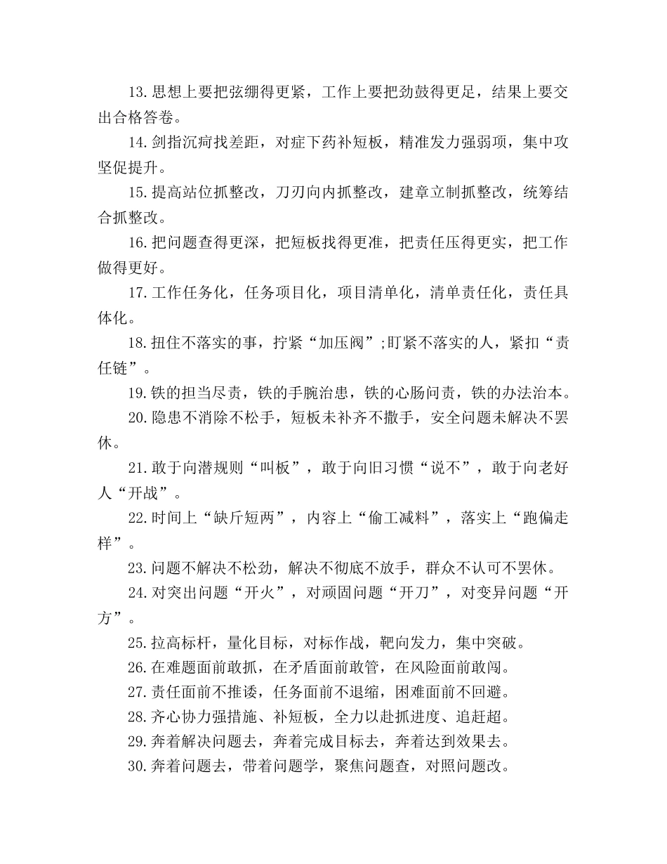 材料写作关于“整改落实”的排比句 _第2页