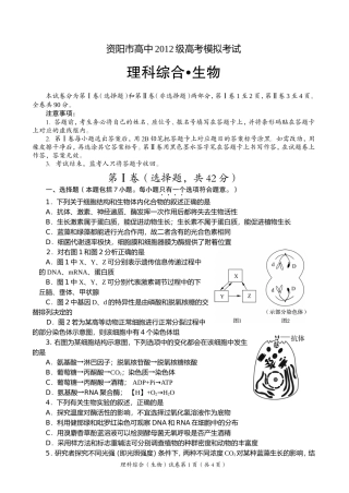 资阳三诊生物(排版定稿)