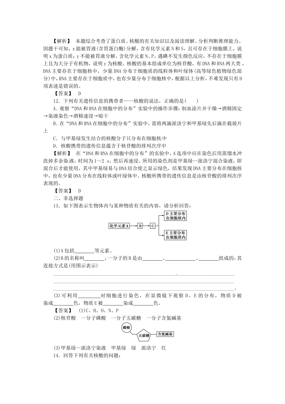 《金版》高中生物-第二单元-第二章-细胞中的核酸测试卷-中图版必修1_第3页
