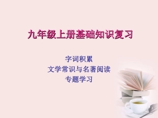 广西灵山县陆屋中学九年级语文上册-基础知识复习课件-人教新课标版