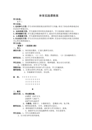 体育实践课教案(水平三)